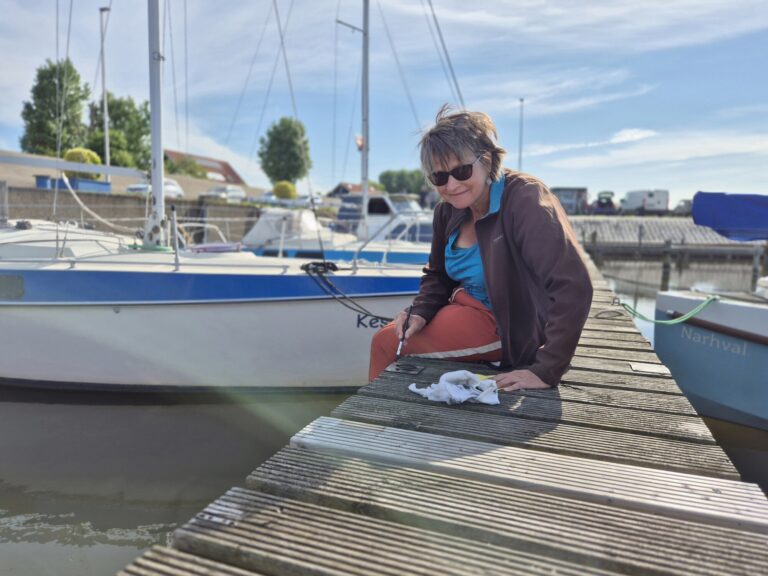 Lees meer over het artikel 3e Klusdag in het zonnetje